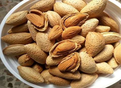بادام دختی سنگی خرید+ عمده